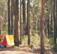 Nanga Mill Camp at Lane Poole Reserve - VIC Tourism