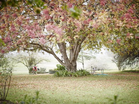 WillOaks B&B - VIC Tourism 8