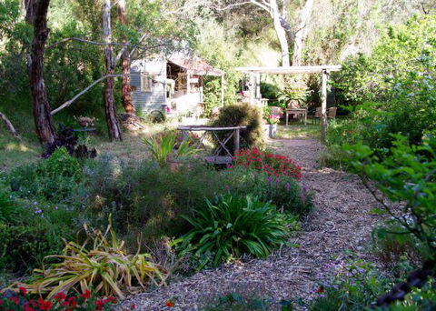 Pear Tree Hollow - VIC Tourism 8
