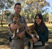 Kyabram Fauna Park - VIC Tourism