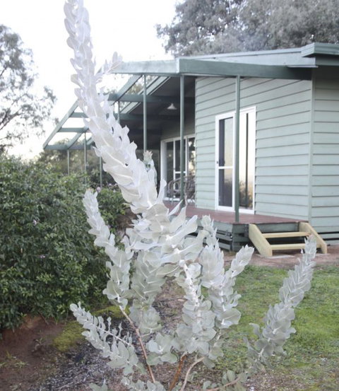 Kurringai Cottage - VIC Tourism 2