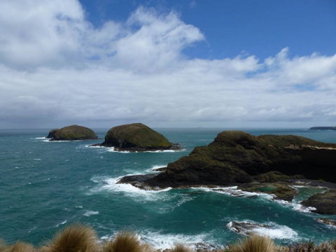 Arties Cottage Accommodation - VIC Tourism 9