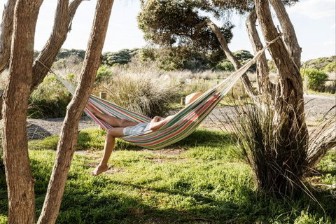 Anglesea Family Caravan Park - VIC Tourism 1