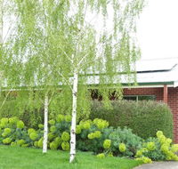 Birralee Cottage - VIC Tourism