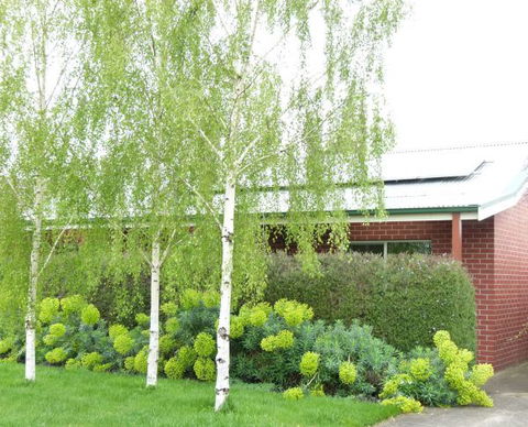 Birralee Cottage - VIC Tourism 0