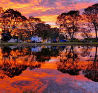 Coonawarra Bush Holiday Park - VIC Tourism