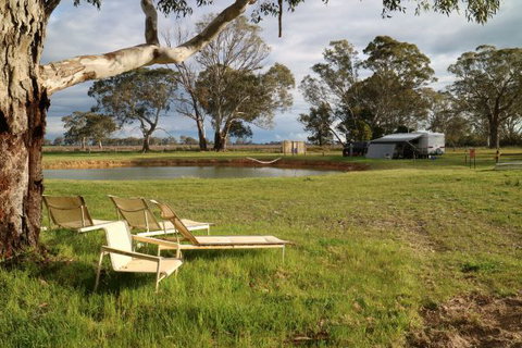 Coonawarra Bush Holiday Park - VIC Tourism 4