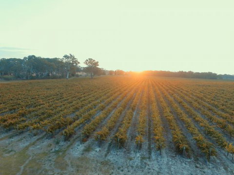 Coonawarra Bush Holiday Park - VIC Tourism 7