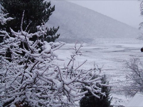 Cool Mountain Lodge - VIC Tourism 1