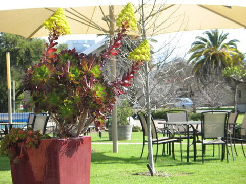 Wine Village Motor Inn - VIC Tourism 3