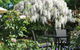 Wine Village Motor Inn - thumb 5