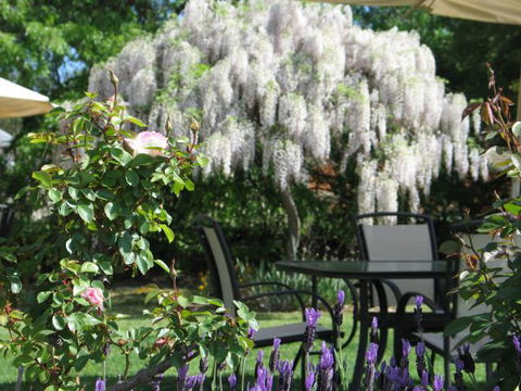 Wine Village Motor Inn - VIC Tourism 5