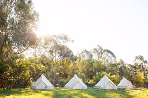 Happy Glamper Mornington Peninsula - VIC Tourism 2
