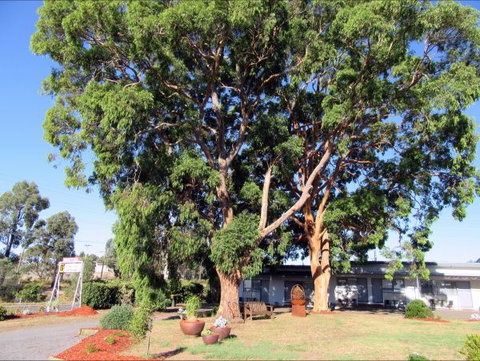Highlander Haven Motel - VIC Tourism 3