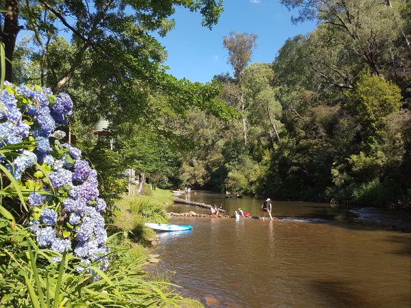  VIC Tourism