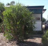 Loxton Smiffy's Bed And Breakfast Coral Street - VIC Tourism
