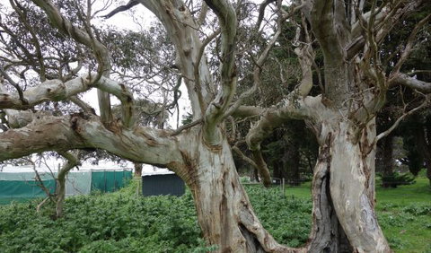 Morella Farm Stay - VIC Tourism 10