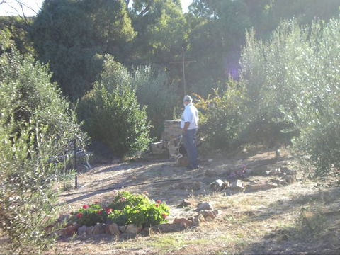 Olive Grove Retreat - VIC Tourism 5