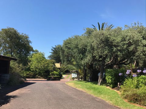 Ti-Tree Village Ocean Grove - VIC Tourism 9
