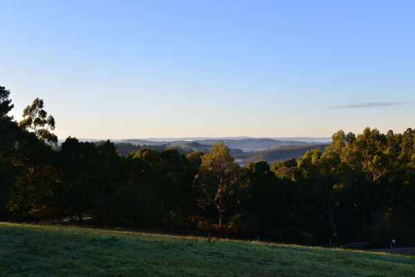 Allambee Reserve VIC VIC Tourism