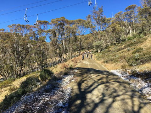 Arrabri Ski Club Hotham - VIC Tourism 1