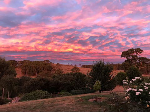 Avaleigh Elms Farmstay - VIC Tourism 5