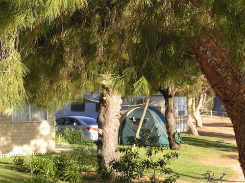 Barmera North Lake Caravan Park - VIC Tourism 0