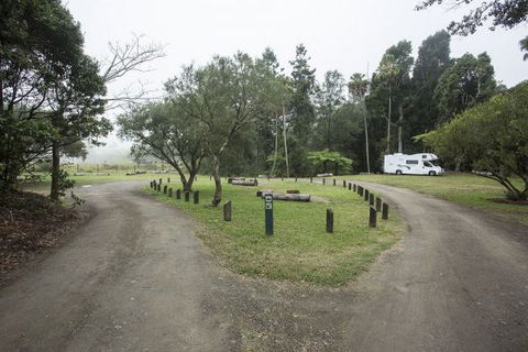 Eungella National Park Camping Ground - VIC Tourism 0