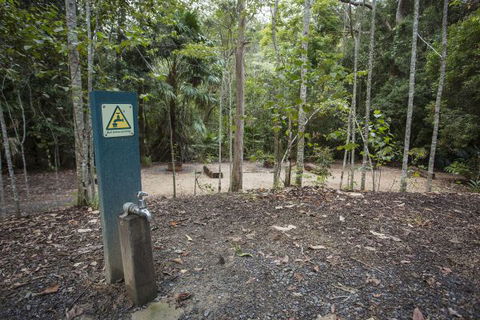 Eungella National Park Camping Ground - VIC Tourism 2