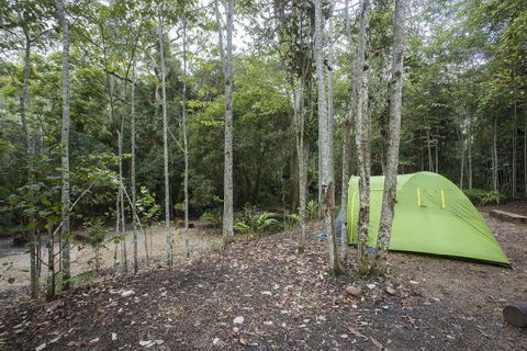 Eungella National Park Camping Ground - VIC Tourism 3