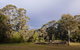 Fernhill Chestnut Farm - thumb 2