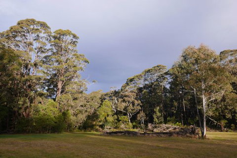 Fernhill Chestnut Farm - VIC Tourism 2