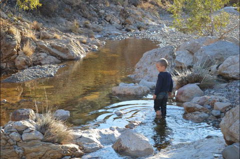 Flinders Bush Retreats - VIC Tourism 8