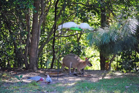 Halcyon Retreat - VIC Tourism 8