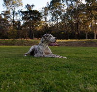 Hunter Valley Retreat - VIC Tourism