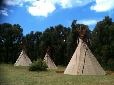 Kinglake Forest Adventures Camp - VIC Tourism 0