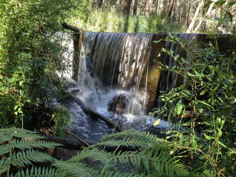 Kinglake Forest Adventures Camp - VIC Tourism 1