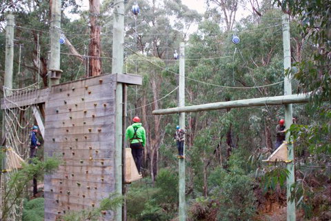 Kinglake Forest Adventures Camp - VIC Tourism 2