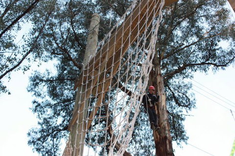 Kinglake Forest Adventures Camp - VIC Tourism 4