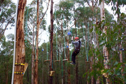 Kinglake Forest Adventures Camp - VIC Tourism 5