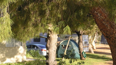 Barmera North Lake Caravan Park - VIC Tourism 4