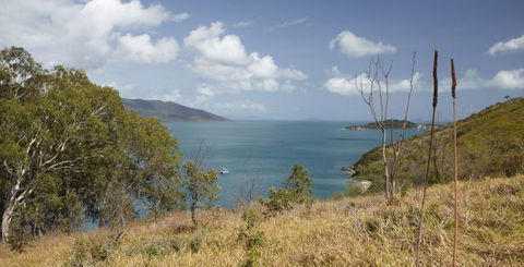 Molle Island National Park (Whitsundays National Park) Camping Ground - VIC Tourism 1