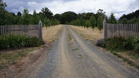 Oakhill Cottage - VIC Tourism 7