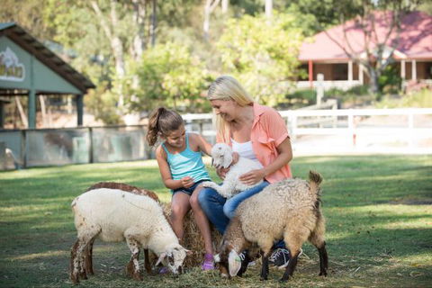 Paradise Country Farmstay - VIC Tourism 6