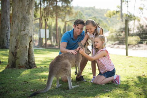 Paradise Country Farmstay - VIC Tourism 7