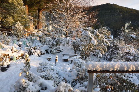 Pipeline Chalet Mt Wellington - VIC Tourism 8