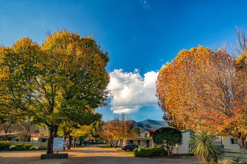 Porepunkah Bridge Holiday Park - VIC Tourism 3