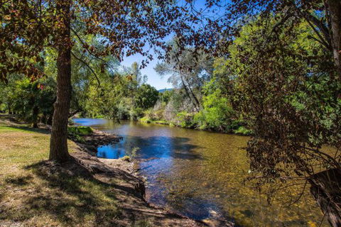 Porepunkah Bridge Holiday Park - VIC Tourism 5