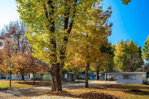Porepunkah Bridge Holiday Park - VIC Tourism 8
