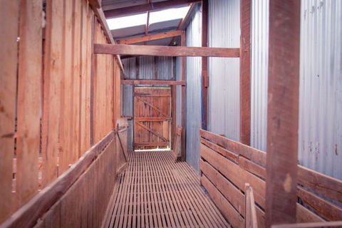 Sandalwood Shearing Shed - VIC Tourism 8